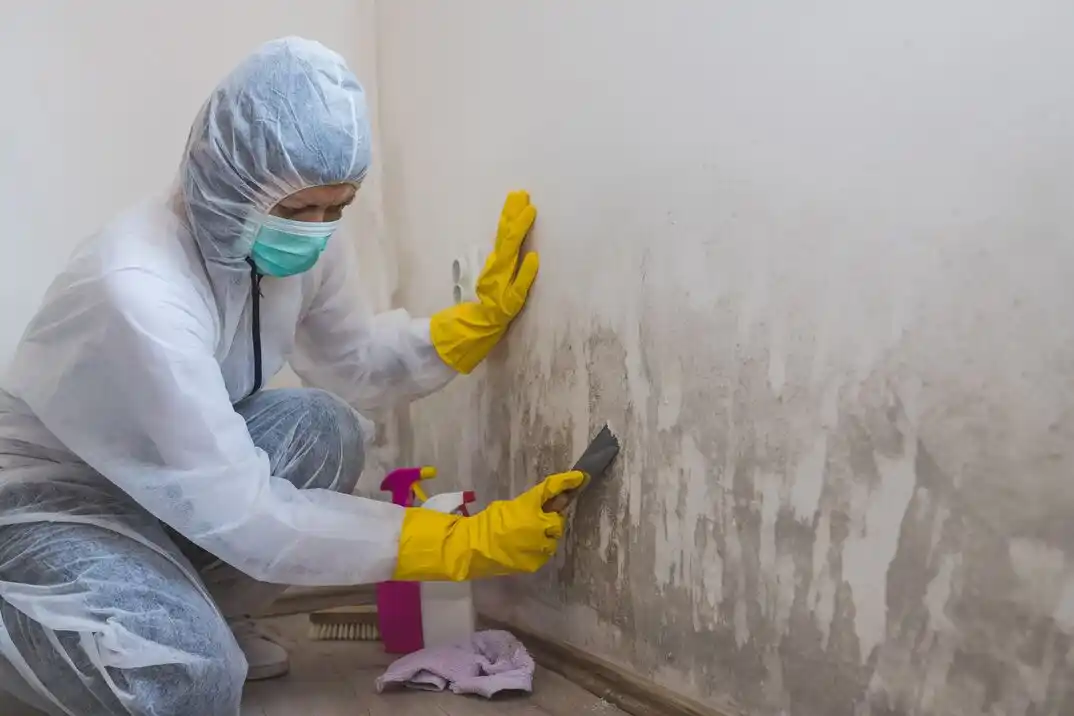 water damage restoration service Priest Lake Meadows Homeowners